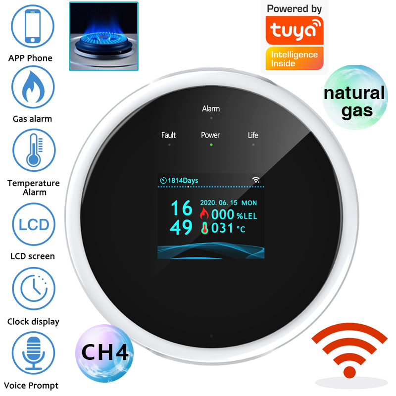 2.4G WiFi Gas Alarm Sensor Com - Home Security Equipment recension och pris